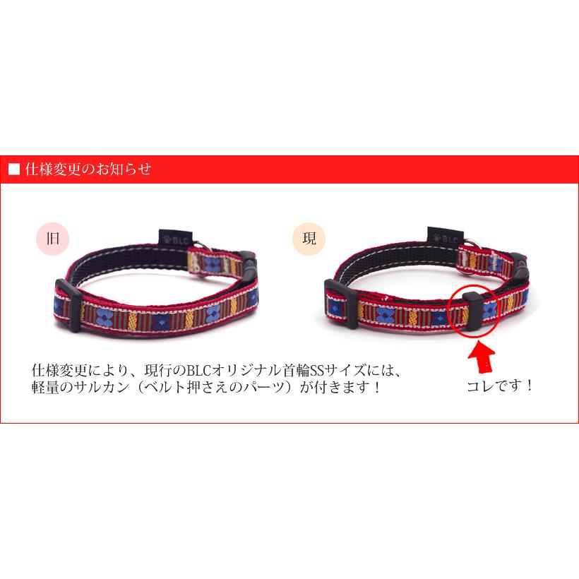 BLC首輪 ＜SSサイズ＞ デイジーオレンジ : ブラックラブカンパニー