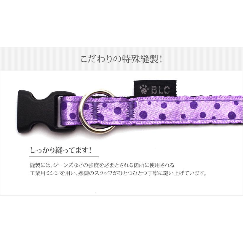 BLC首輪 ＜SSサイズ＞ ドットパープル : ブラックラブカンパニー