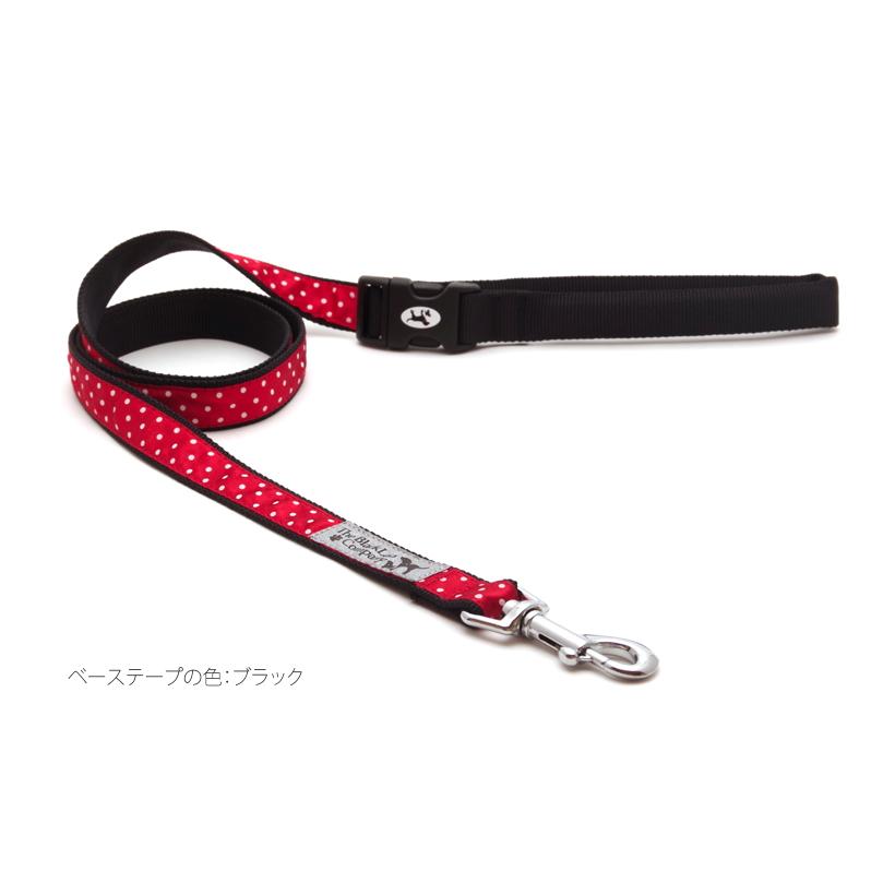 リード3点（赤、青、オレンジ）、TORACリード1点 リード3点（赤、青