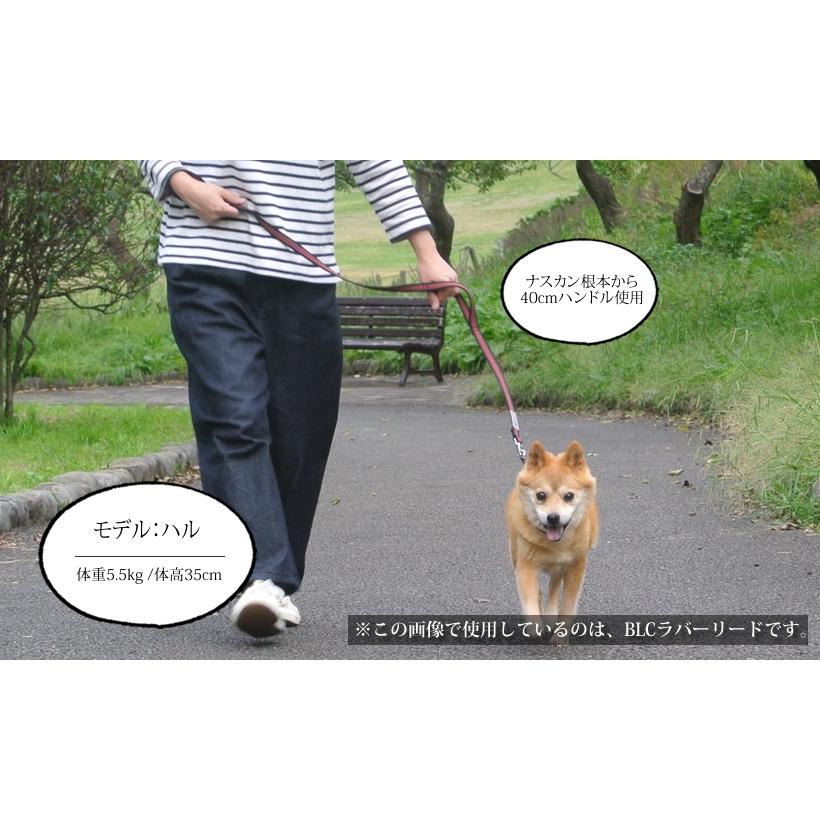 BLCハンドル付きリード <Mサイズ・Sサイズ共通> レッド水玉2|theblacklab|05