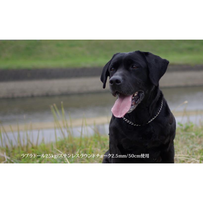 キンペックス　チョークチェーン　他　まとめ売り 2.5mm/45cm＞BLCステンレスラウンドチョークチェーン 中・大型犬