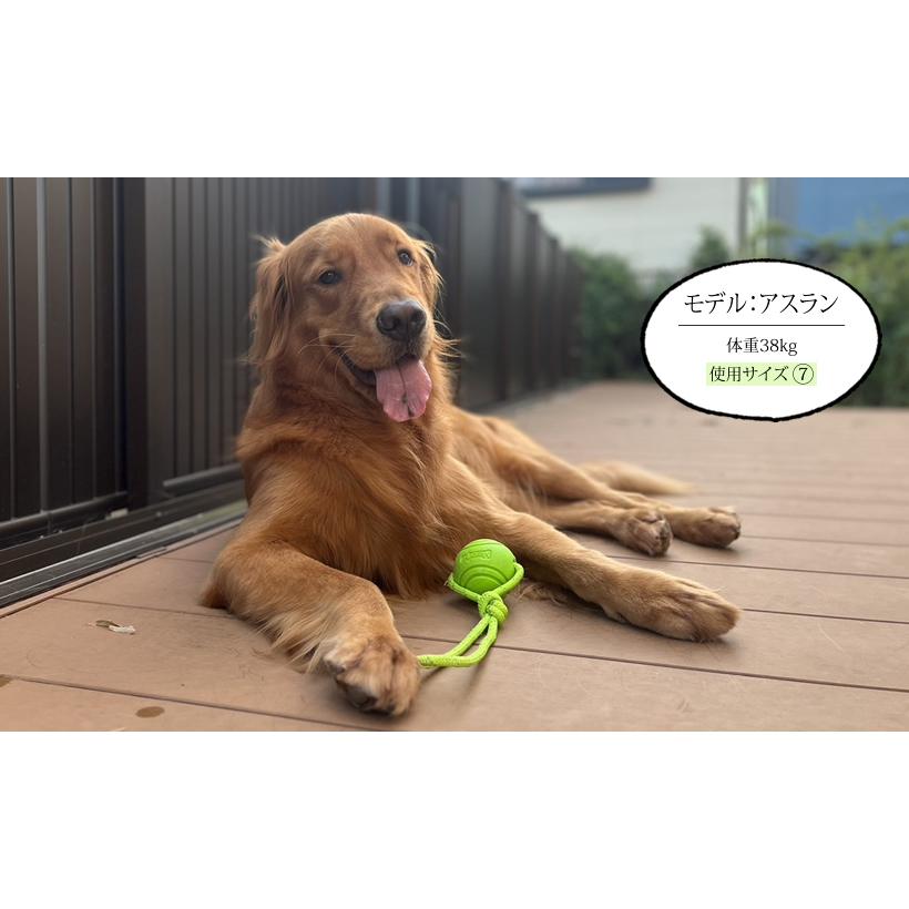 ガミィカラーボール7（中・大型犬向け） : ブラックラブカンパニー