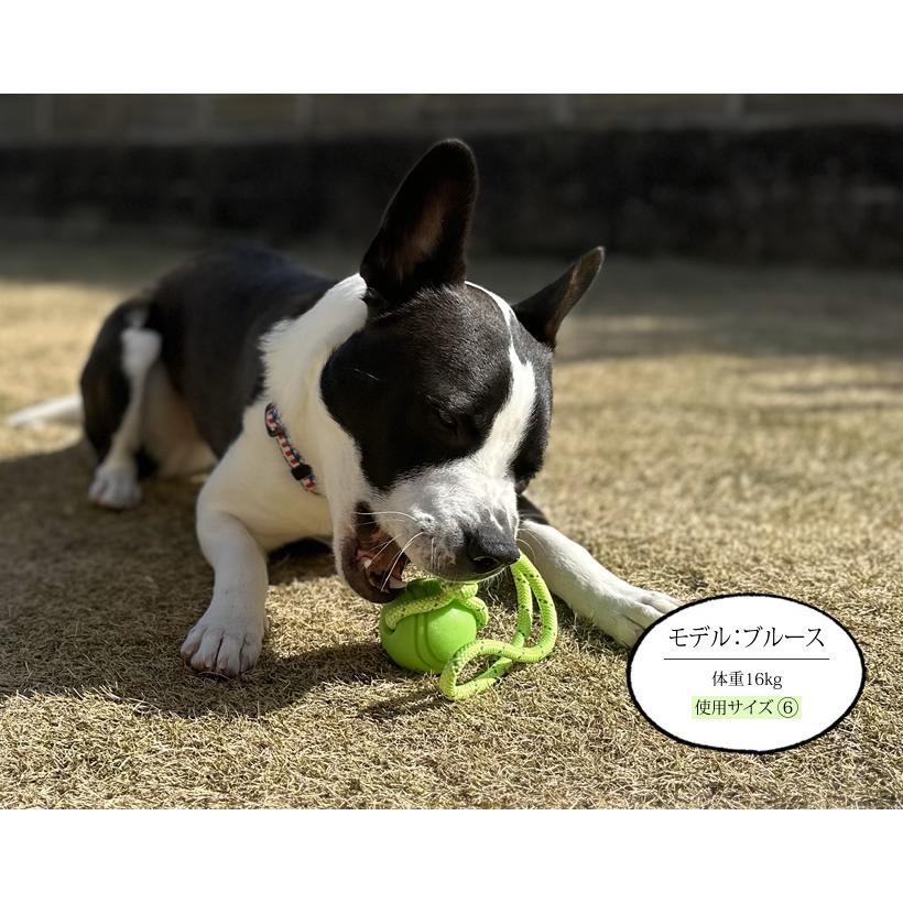 キャピタル　ピーチ裏毛ベースボール カーディガン　サイズ３定価49,280円 South2 West8（サウスツー ウエストエイト）〉 別注 Wool/Poly V-C/GN