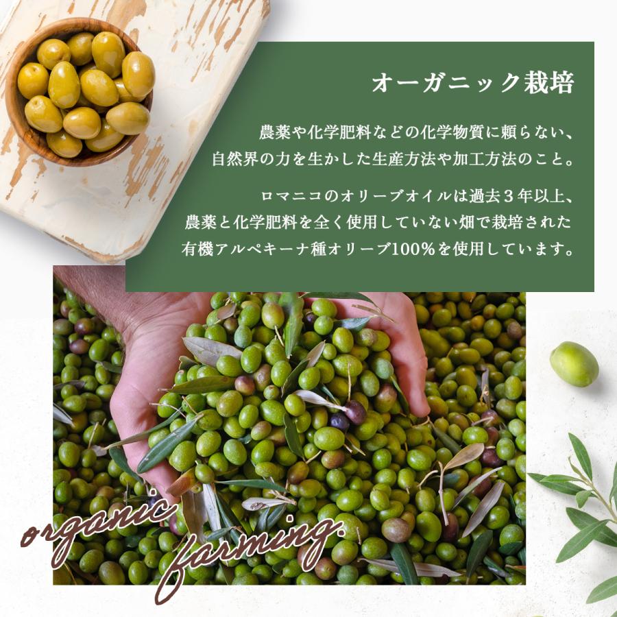 【2本セット】ロマニコ オーガニックエキストラバージンオリーブオイル 500ｍl×2 | 常温宅急便 |_3