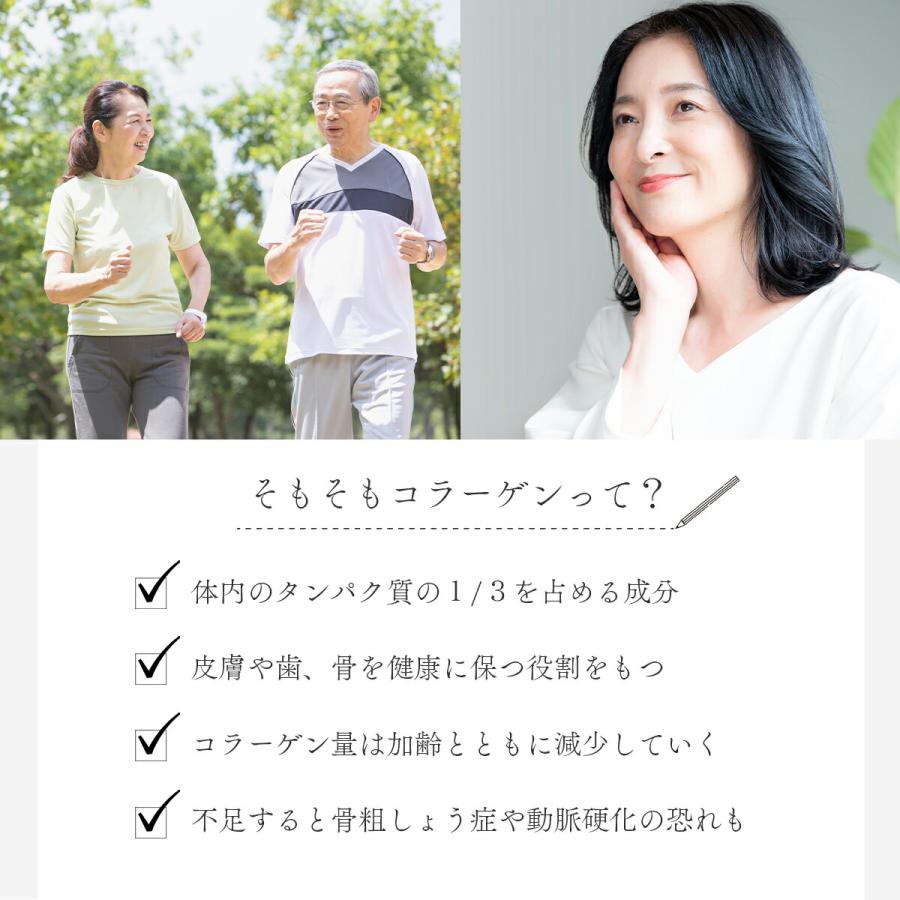 単品】 オーティービー ナチュールコラーゲン 90g｜クリックポスト