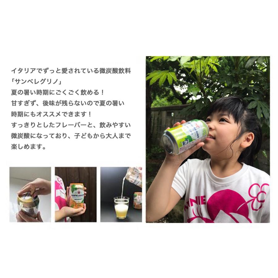 サンペレグリノ 【組み合わせが選べる24缶】 スパークリングフルーツ
