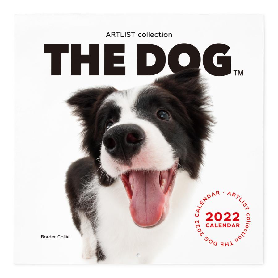 宅配便送料無料 The Dog 22年 カレンダー 大判サイズ ボーダーコリー