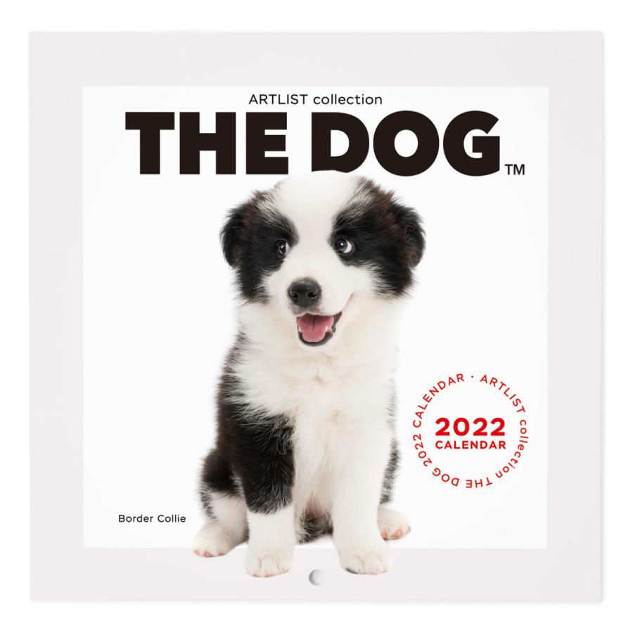 363円 新登場 The Dog 22年 カレンダー ミニサイズ ボーダーコリー