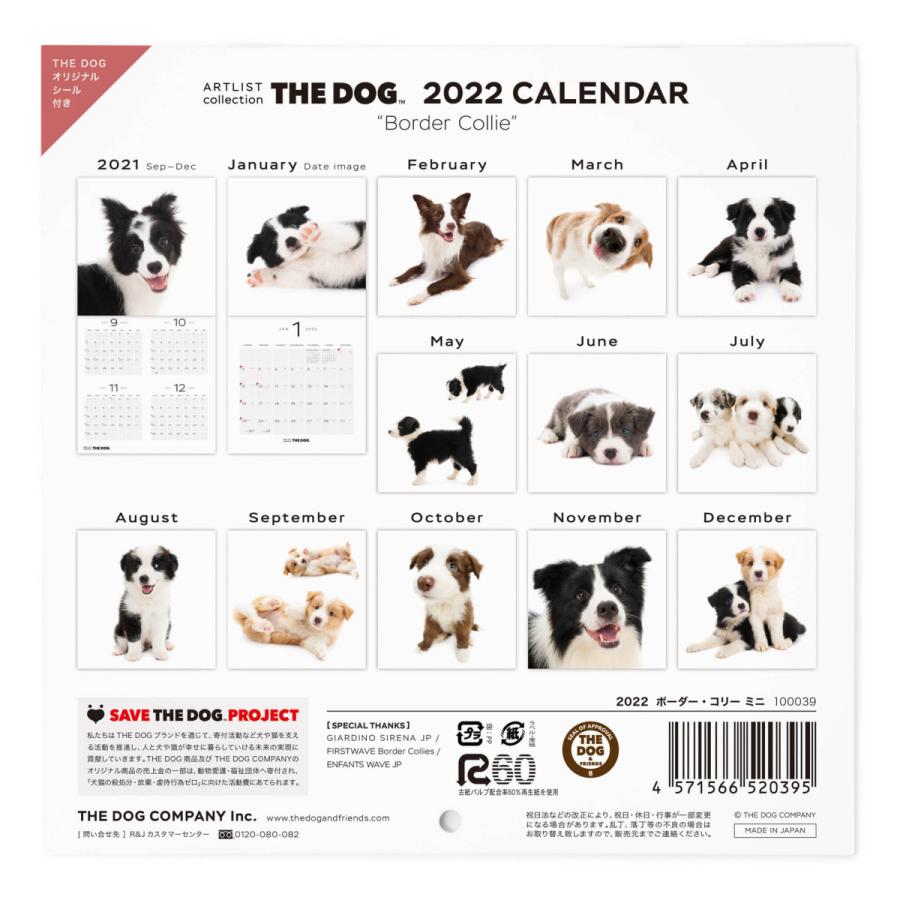363円 新登場 The Dog 22年 カレンダー ミニサイズ ボーダーコリー