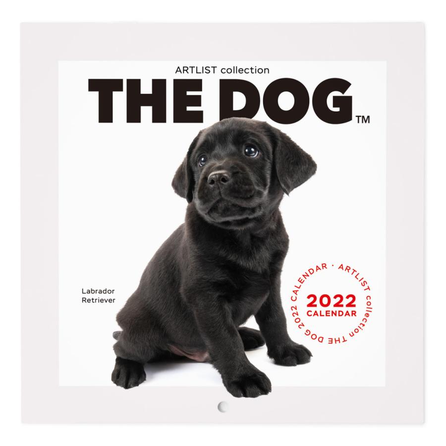 グランドセール THE DOG 2022年 カレンダー ミニサイズ ラブラドールレトリーバー