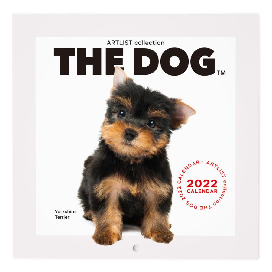 いラインアップ The Dog カレンダー ヨークシャーテリア ミニサイズ 22年 その他趣味