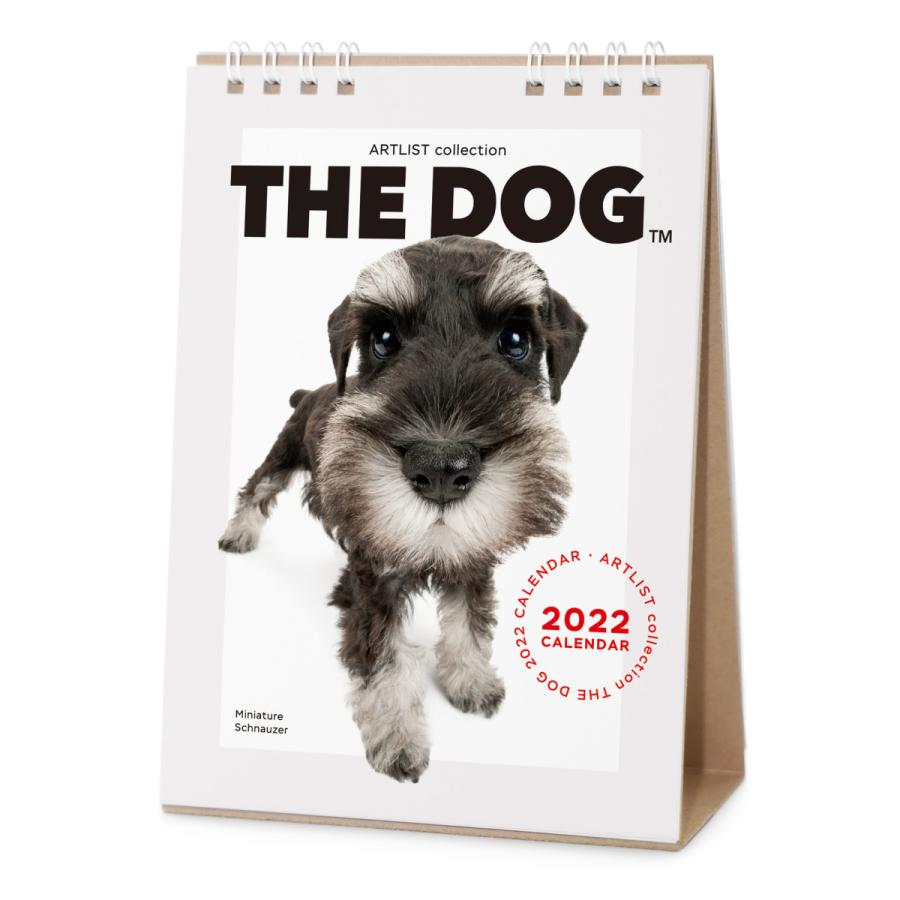 363円 かわいい The Dog 22年 カレンダー 卓上サイズ ミニチュアシュナウザー