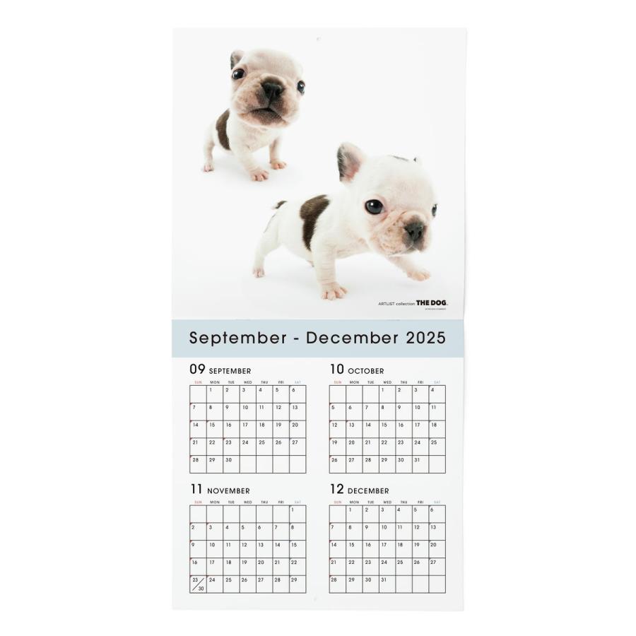 THE DOG 2026年 カレンダー 大判サイズ（フレンチ・ブルドッグ) : THE