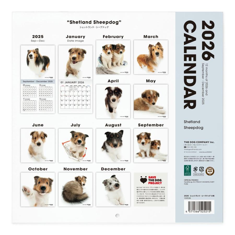 THE DOG 2026年 カレンダー 大判サイズ（シェットランド・シープドッグ