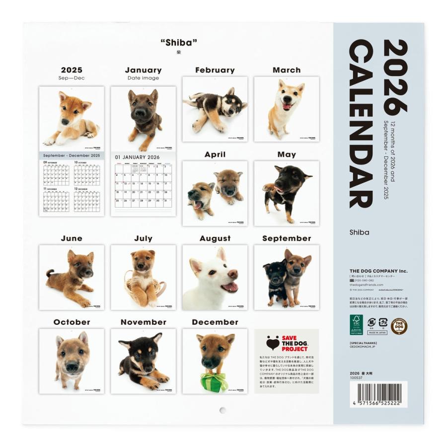 THE DOG 2026年 カレンダー 大判サイズ（柴) : THE DOG STORE Yahoo!店