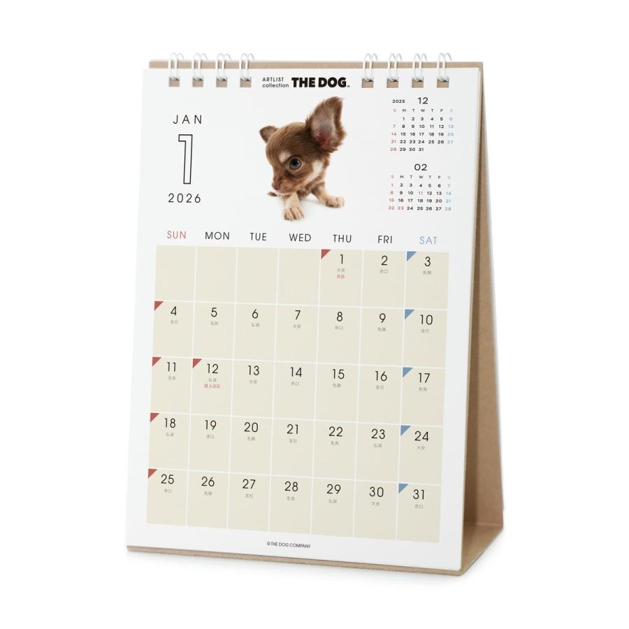 THE DOG 2026年 卓上カレンダー（チワワ) : THE DOG STORE Yahoo!店