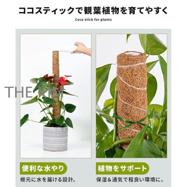 ココスティック 3本セット モンステラ 支柱 観葉植物 おしゃれ プランター 植木鉢 植物 園芸支柱 観葉支柱 ガーデニング ココスティック支柱｜thekim｜02