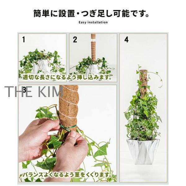 ココスティック 3本セット モンステラ 支柱 観葉植物 おしゃれ プランター 植木鉢 植物 園芸支柱 観葉支柱 ガーデニング ココスティック支柱｜thekim｜04