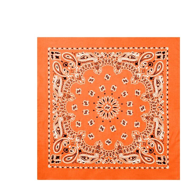 ロスコ ラージサイズ バンダナ ペイズリー柄（大判）Rothco Trainmen Paisley Bandana Big 27 X 27 4349他(13色） | ROTHCO | 08