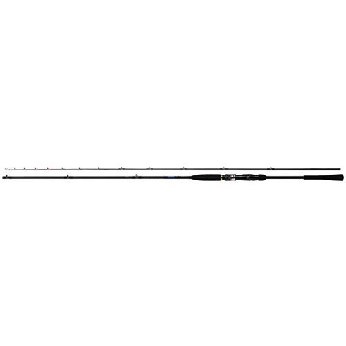 ダイワ(DAIWA) 船竿 ヒラメ X S-240 釣り竿 | 