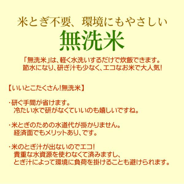 合格祈願 お米 3kg 棚田米 新潟産コシヒカリ 無洗米 贈答箱入 受験 試験 就職  お守り グッズ 応援めし 幸運｜themall｜08