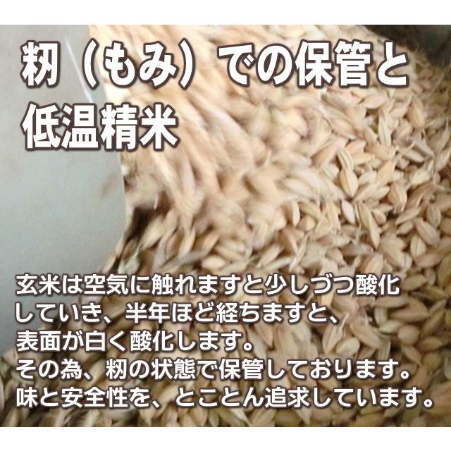 お歳暮 お米 5kg 農薬不使用 希少米コシヒカリ 無洗米 御歳暮 帰省暮 新潟米 新潟 岩船産 こしひかりお歳暮ギフト お礼 贈答 送料無料｜themall｜12