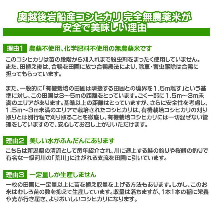 お歳暮 お米 5kg 農薬不使用 希少米コシヒカリ 無洗米 御歳暮 帰省暮 新潟米 新潟 岩船産 こしひかりお歳暮ギフト お礼 贈答 送料無料｜themall｜05