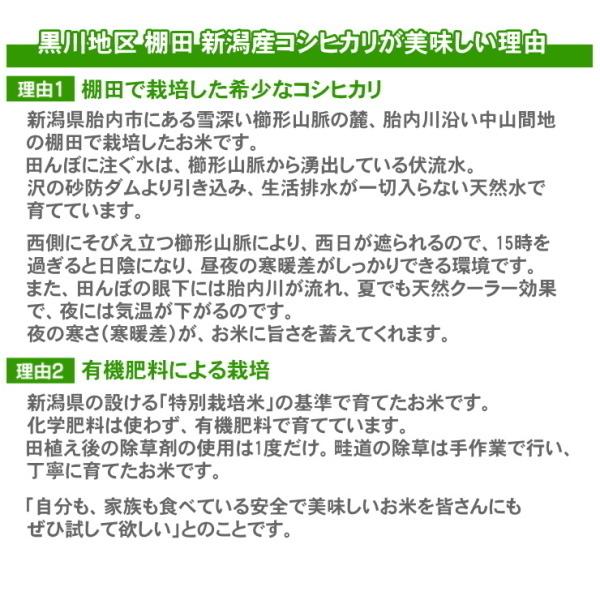 お歳暮 お米 1kg 高級銘柄米 棚田米 新潟産コシヒカリ 無洗米 御歳暮 帰省暮 新潟米 新潟 こしひかりお歳暮ギフト お礼 贈答 送料無料｜themall｜04