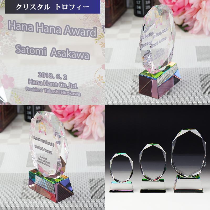 名入れ クリスタル トロフィー CR-16(中) 社内表彰 取引先表彰 感謝状 表彰状 永年勤続 退職祝い 退職記念 退任記念 勇退記念 送料無料の画像