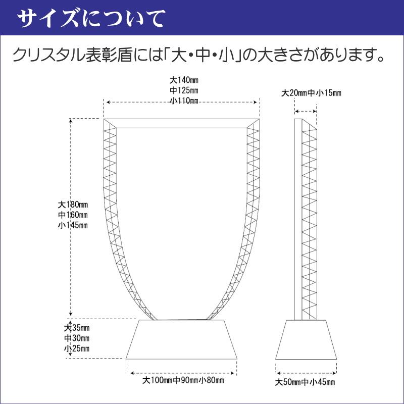 名入れ クリスタル 表彰盾 DP-1(中) 社内表彰 取引先表彰 認定証 感謝状 表彰状 周年記念 送料無料_6