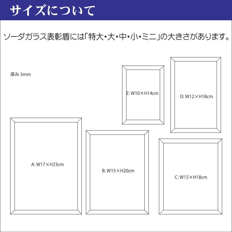 名入れ 記念品 表彰盾 PS-8(ミニ) 表彰状 感謝状 退職祝い 退職記念 社内表彰 取引先表彰 認定証 勤続表彰 送料無料 |  | 06