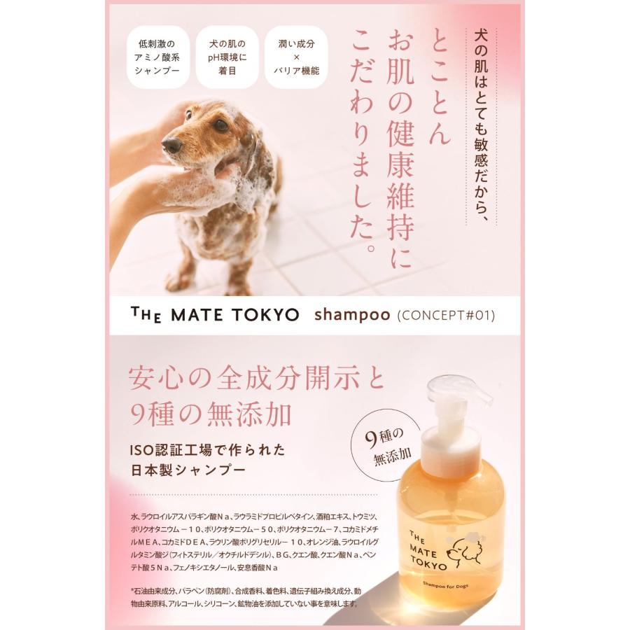 スキンケアシャンプー（泡タイプ）&シルクヘアパック（トリートメント