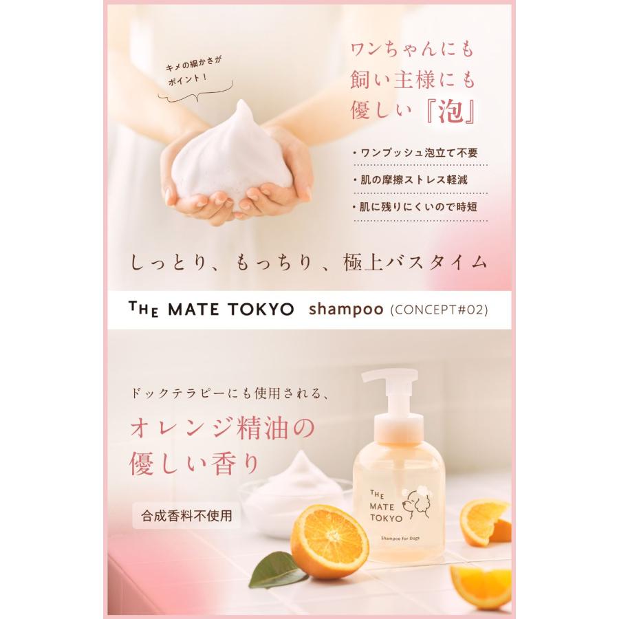 スキンケアシャンプー（泡タイプ）&シルクヘアパック（トリートメント