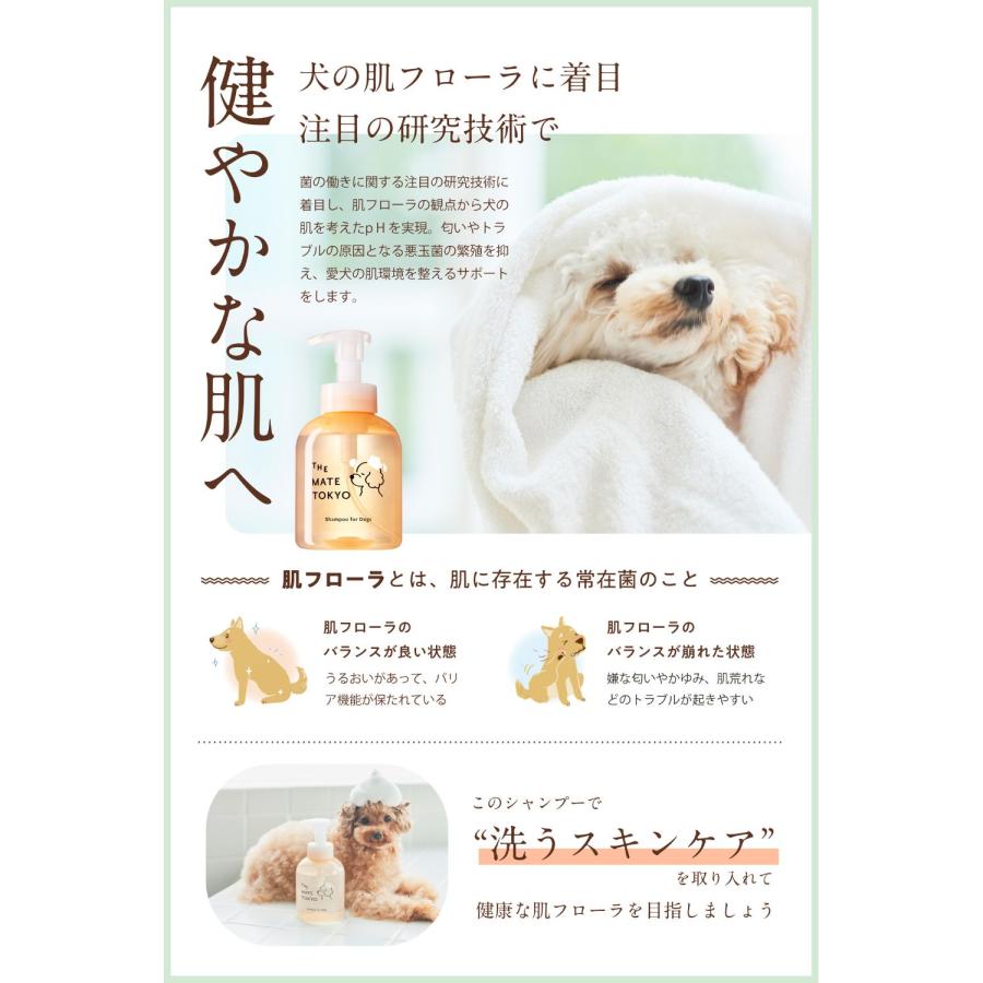 スキンケアシャンプー（泡タイプ）&シルクヘアパック（トリートメント