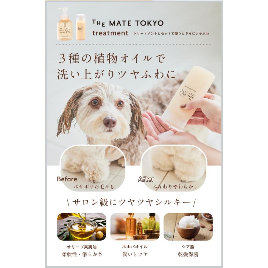 スキンケアシャンプー（泡タイプ）&シルクヘアパック（トリートメント