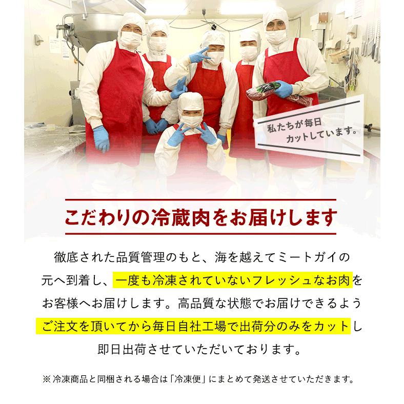 ステーキ 塊肉 ブロック肉　牛肉 グラスフェッドビーフ サーロイン ブロック 500g |  | 05