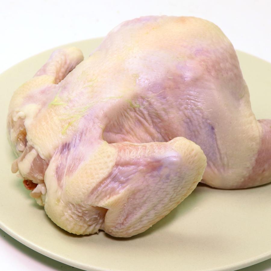 ゲームヘン 丸ごと 1羽 ひな鶏 500g 冷凍 生 ポイント消化 q 参鶏湯 唐揚げ ローストチキン キャンプ バーベキュー用 C110 ミートガイ 通販 Yahoo ショッピング