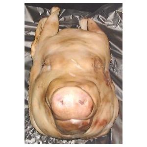 豚の頭 チラガー含む 豚頭肉 ポークヘッド P109 ミートガイ 通販 Yahoo ショッピング