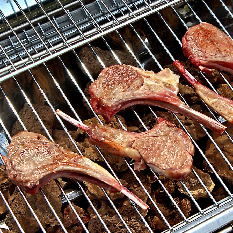 極 インパクト絶大！BBQセット 2.5kg 6-10人前！盛り上がるバーベキュー肉（ BBQ食材 ）お得さ福袋級！マンネリ回避 バーベキュー食材 送料無料 -SET019 |  | 05