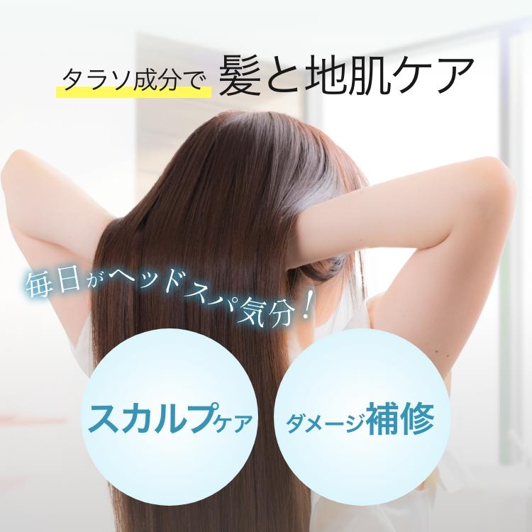 クレイクリームシャンプー クレイシースパ 200g（さらさらクール/しっとりモイスト） オールインワン リンスイン 泥 ヘッドスパ くせ毛 頭皮クレンジング |  | 12