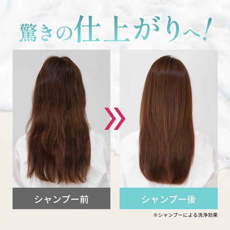 クレイクリームシャンプー クレイシースパ 200g（さらさらクール/しっとりモイスト） オールインワン リンスイン 泥 ヘッドスパ くせ毛 頭皮クレンジング |  | 18