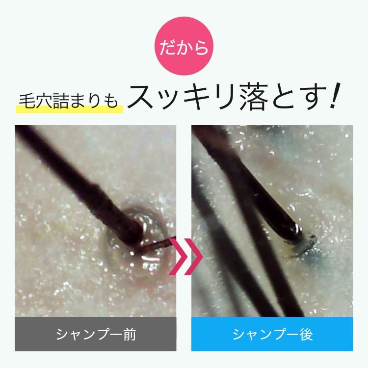 クレイクリームシャンプー クレイシースパ 200g（さらさらクール/しっとりモイスト） オールインワン リンスイン 泥 ヘッドスパ くせ毛 頭皮クレンジング |  | 11