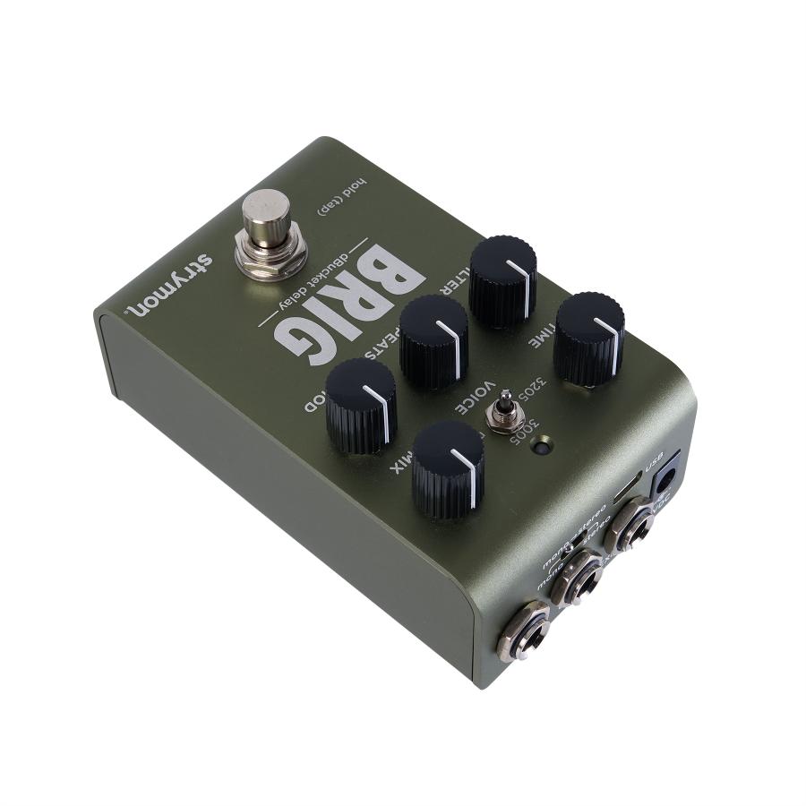 決算セール対象 8/31迄！】strymon BRIG dBucket delay ディレイ