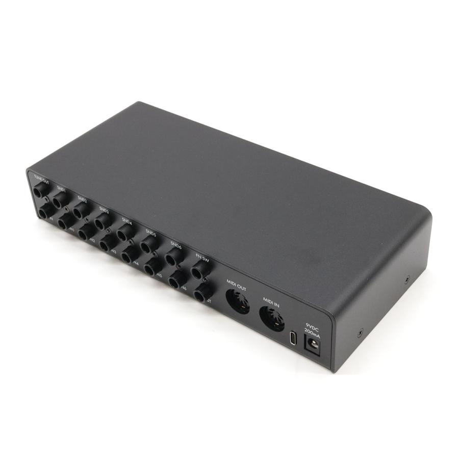 rjm Mini Effect Gizmo スイッチャー 正規輸入品 rjm Mini Effect Gizmo スイッチャー 正規輸入品