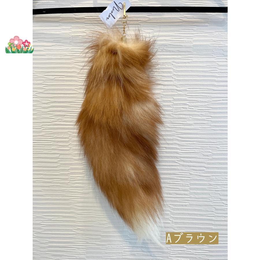 きつねのしっぽ♪ページ 🦊 ブキちゃん︎♡︎ʾʾ しっぽがモフモフだね 次会うのが楽しみ