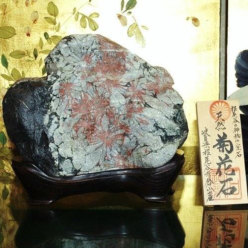 theory xyz 菊花石 岐阜県根尾谷赤倉山産 純国産 : theory xyz