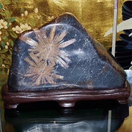 菊花石　岐阜県産　6、6kg Amazon.co.jp: 菊花石 岐阜県根尾谷産4.3㌔ 鑑賞石 観賞石 水石