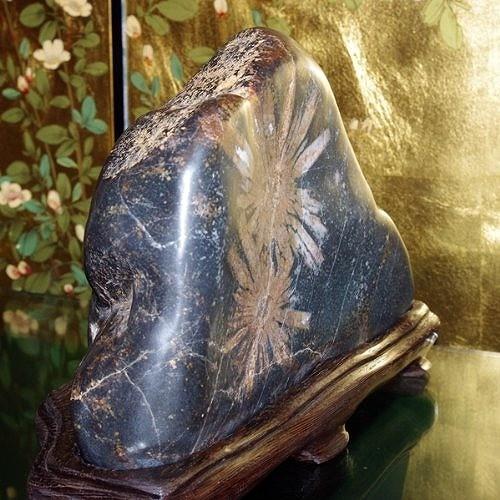 theory xyz 菊花石 岐阜県根尾産 純国産 磨き石 大型 : theory xyz