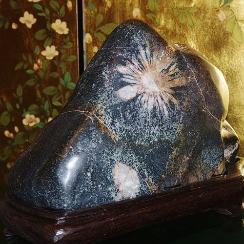 菊花石　岐阜県産　6、6kg Amazon.co.jp: 菊花石 岐阜県根尾谷産4.3㌔ 鑑賞石 観賞石 水石