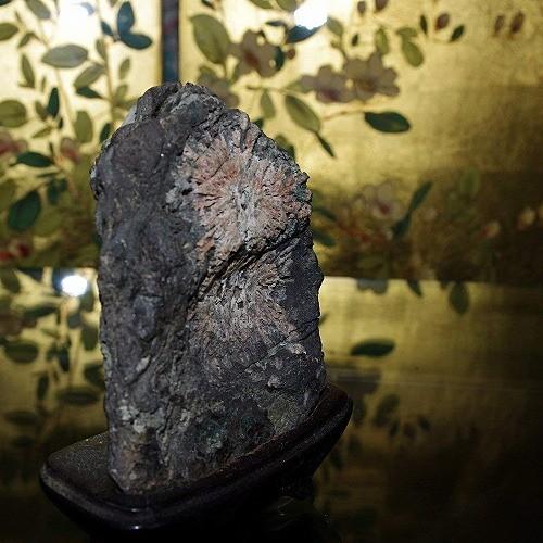 theory xyz 菊花石 岐阜県根尾産 純国産 サバ菊 ミニ : theory xyz